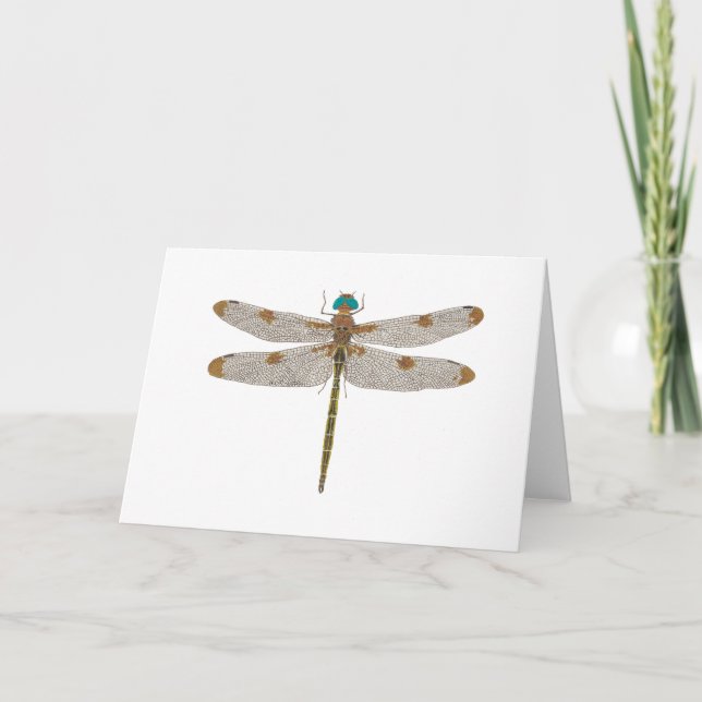 Cartão de Saudação Dragonfly (Frente)