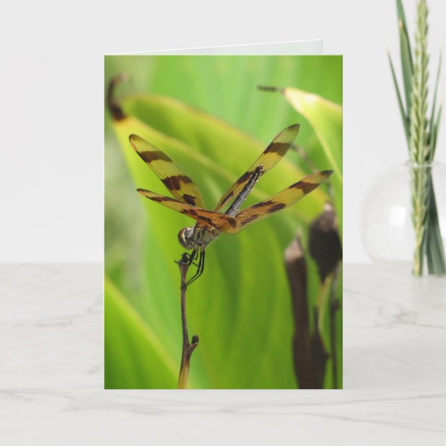 Cartão de Saudação Dragonfly Dançante (Frente)