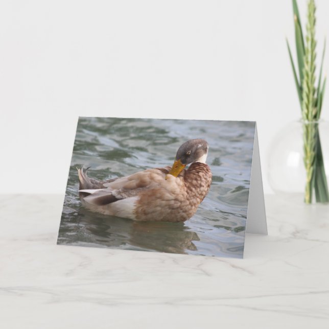 Cartão de Saudação Duck (Frente)