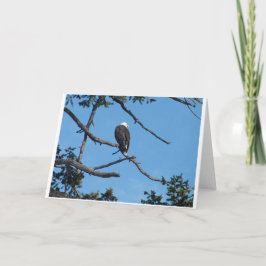 Cartão de Saudação Eagle