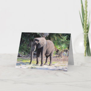 Cartão de Saudação Elefante