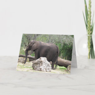 Cartão de saudação elefante (0390)