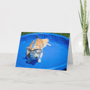 Cartão de saudação em branco do Corgi de snorkel
