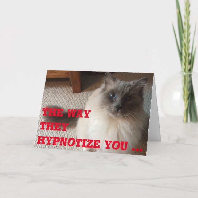 Cartão de Saudação Engraçado (Frente)