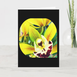 Cartão de Saudação Exótico para Vazio Cymbidium Or