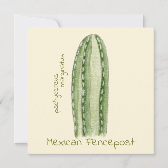 Cartão de saudação Fencepost cactus mexicano (Frente)