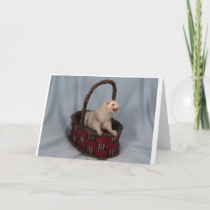 Cartão de Saudação Ferret