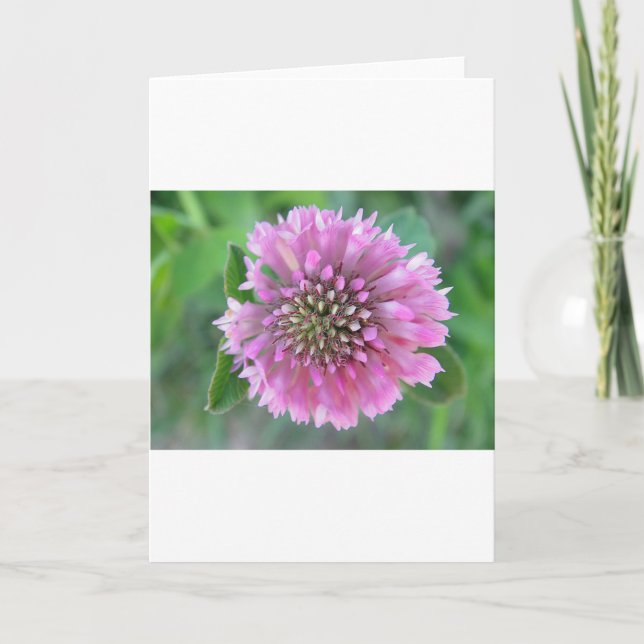 Cartão de saudação flor rosa bonito (Frente)