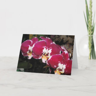 Cartão de Saudação Floral