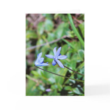 Cartão de saudação floral azul com poema dentro