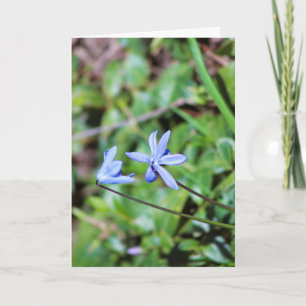 Cartão de saudação floral azul com poema dentro