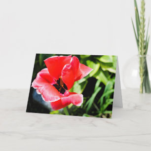 Cartão de saudação floral eu te amo