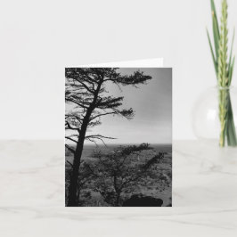 Cartão de saudação Floresta Paisagem Natureza Foto