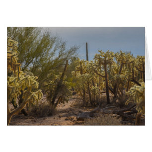 Cartão de Saudação Fotográfica Desert La Cholla Ca