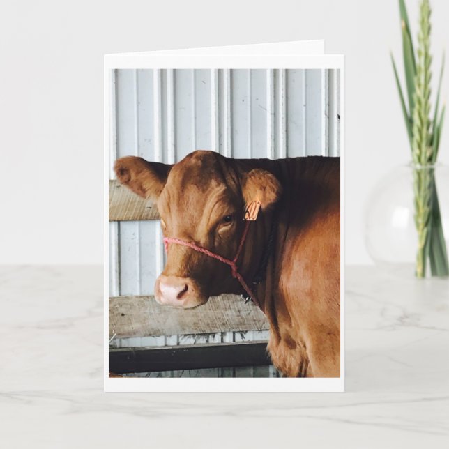 Cartão de Saudação Fotográfico "Calfo na Feira" (Frente)