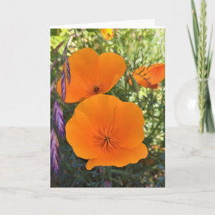 Cartão de Saudação Fotográfico da California Poppy