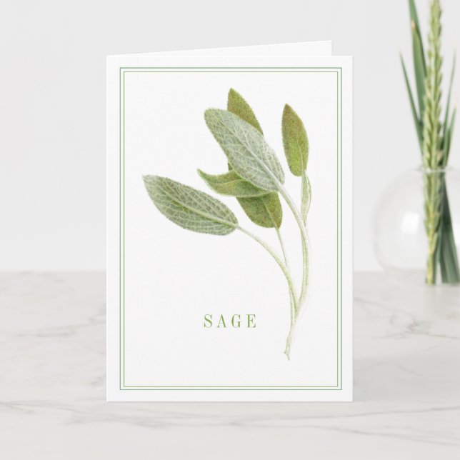 Cartão de Saudação FRESH SAGE (Frente)