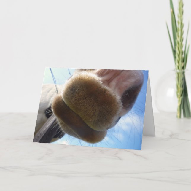 Cartão de Saudação Funny Horse (Frente)