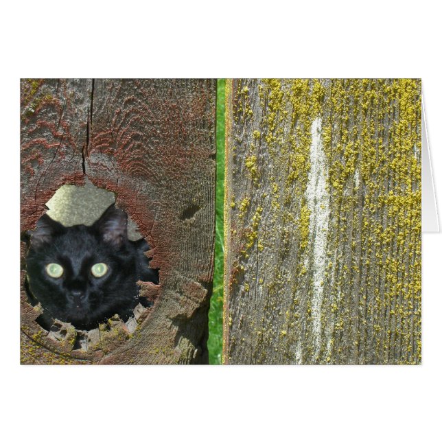 Cartão de Saudação - Gato Pionando Através da Cerc (Frente Horizontal)