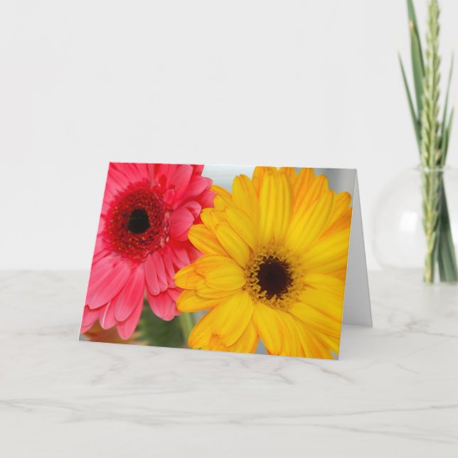 Cartão de Saudação Gerber Daises Friendship (Frente)