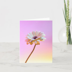 Cartão de Saudação Gerbera Daisy Branco
