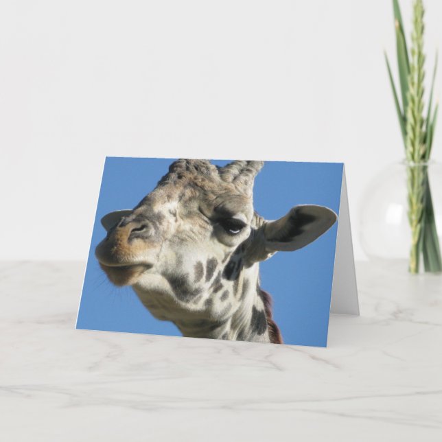 Cartão de saudação Giraffe (Frente)