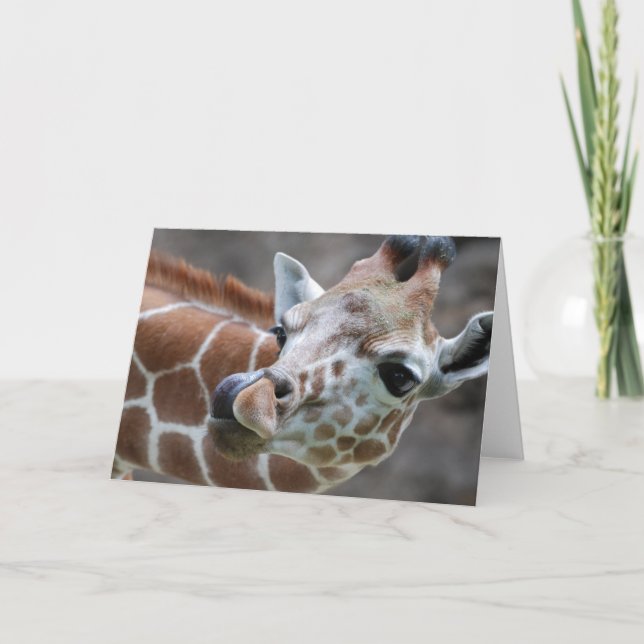 Cartão de Saudação Giraffe Tongue (Frente)
