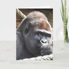 Cartão de Saudação Gorilla