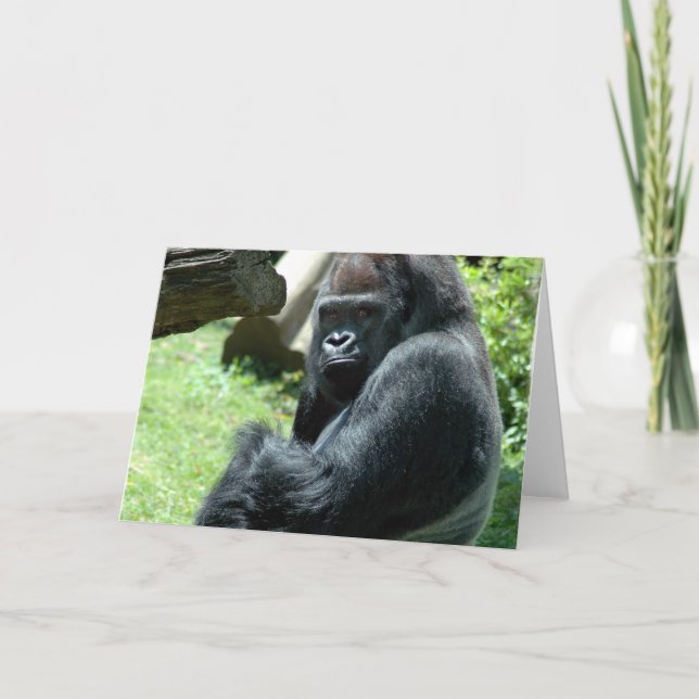Cartão de Saudação Gorilla Glare (Frente)