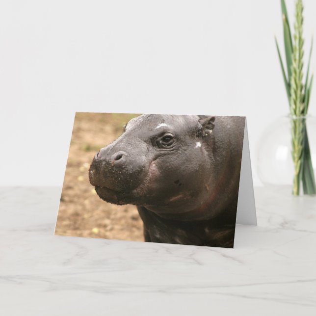 Cartão de Saudação Hippo Pygmy (Frente)