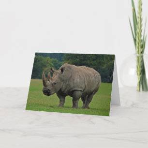 Cartão de saudação Hippopotamus