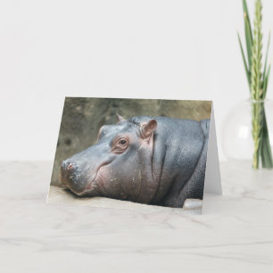 Cartão de saudação Hippopotamus