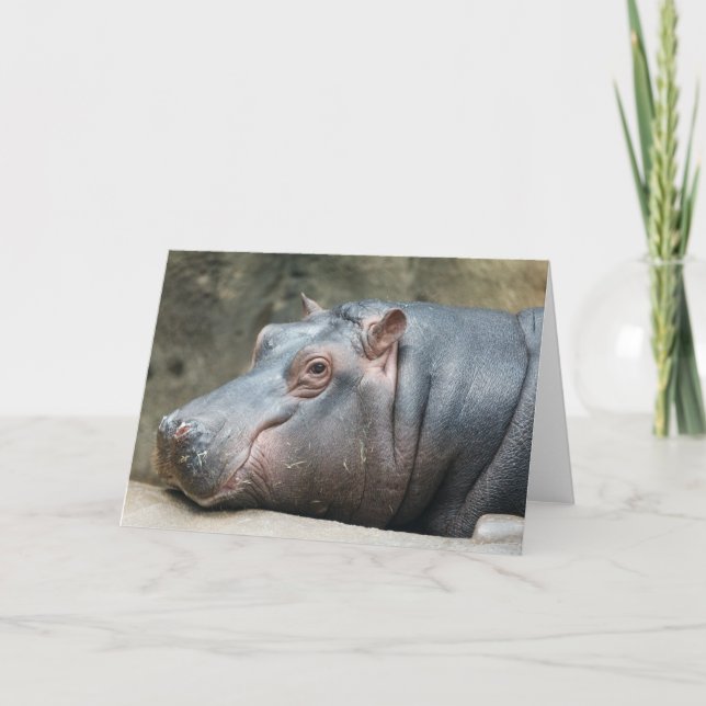 Cartão de saudação Hippopotamus (Frente)