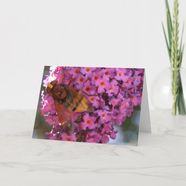 Cartão de Saudação Hoverfly (Frente)