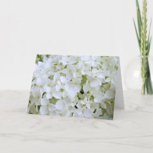 Cartão de Saudação - Hydrangea Branca