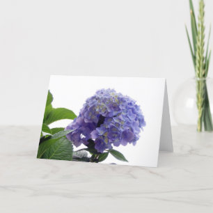 Cartão de Saudação Hydrangea Bush
