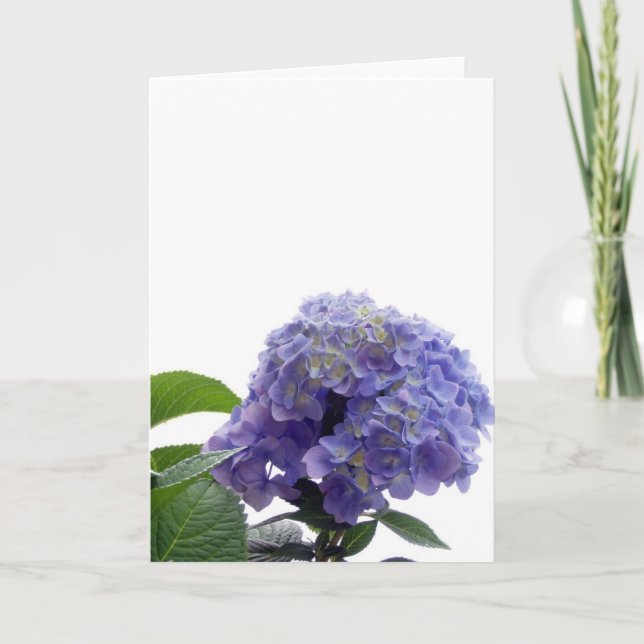 Cartão de Saudação Hydrangea Bush (Frente)