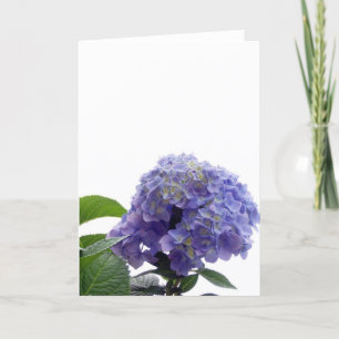 Cartão de Saudação Hydrangea Bush