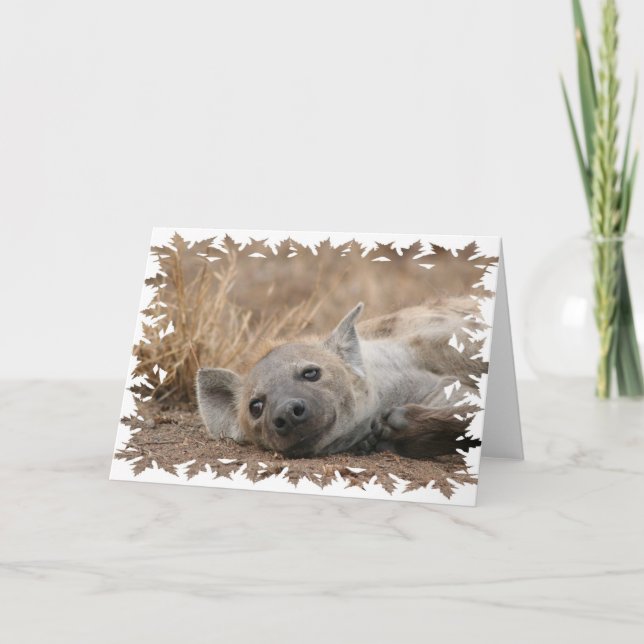 Cartão de Saudação Hyena Picture (Frente)