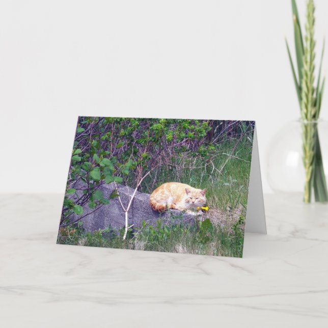 Cartão de Saudação Incondicional (Frente)