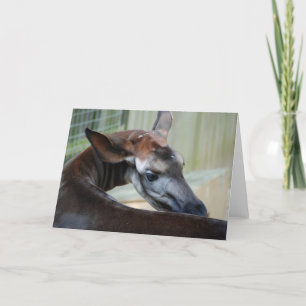 Cartão de Saudação "Itchy Okapi"
