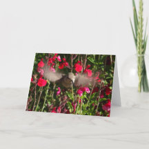 Cartão de Saudação Joybird