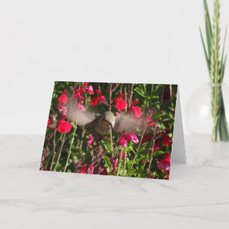 Cartão de Saudação Joybird
