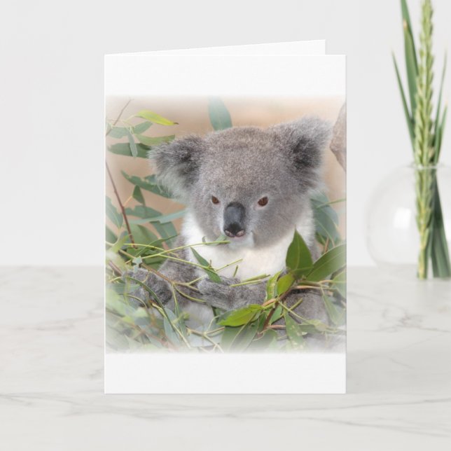 Cartão de Saudação Koala Bear (Frente)