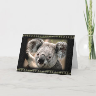 Cartão de Saudação Koala Curioso