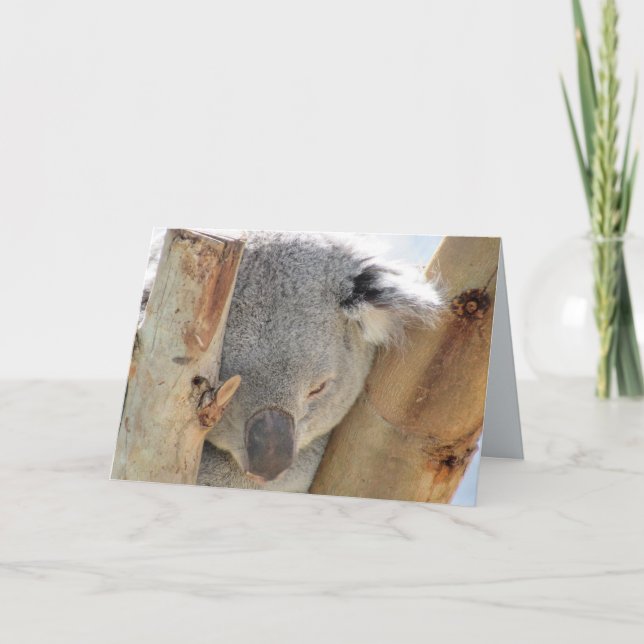 Cartão de Saudação Koala Dormindo (Frente)