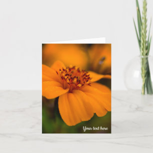 Cartão de Saudação Laranja Marigold
