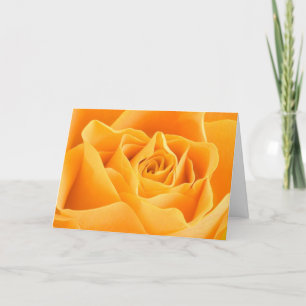 Cartão de saudação laranja Rosa bonito