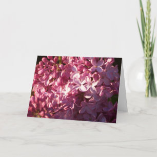 Cartão de Saudação Lilacs Rosa
