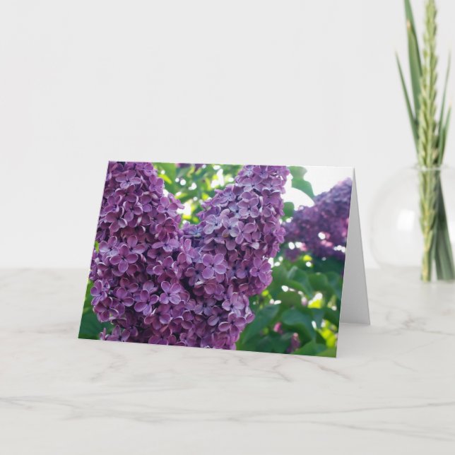Cartão de Saudação Lilases Roxo (Frente)